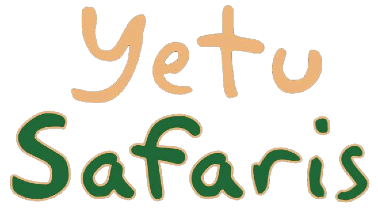 Yetu Safaris