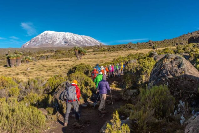 8 Days Kilimanjaro Marangu Route