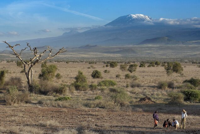 5 Days West Kilimanjaro and Wildlife Safari